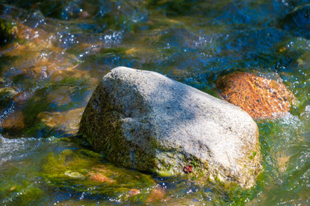 Immerse yourself in the serene beauty of a mountain stream. Enjoy the soothing sounds and sights of nature. Find inner peace and tranquility among a harmonious composition.の写真素材