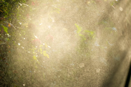 Keep your garden hydrated with a water sprinkler system. A simple and effective way to water your plants and lawn. Adjustable settings for different areas of your garden.の写真素材