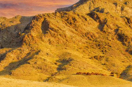 Enjoy breathtaking sunsets over the landscapes of Central Asia. Explore the unique rock formations and river valleys of the steppe region. Connect with natureの写真素材