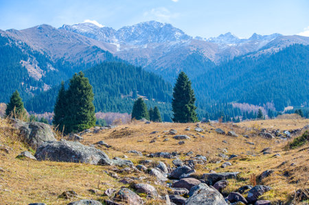 Feel the serenity of the Tien Shan mountains. Immerse yourself in the soothing melody of nature. Witness a pristine river flowing through lush green forests Relax in the heart of the majestic mountainの写真素材