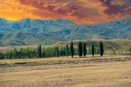 Explore the picturesque foothills and majestic mountains in the summer. Enjoy breathtaking views and outdoor adventures in the mountains. Enjoy hiking, campingの写真素材