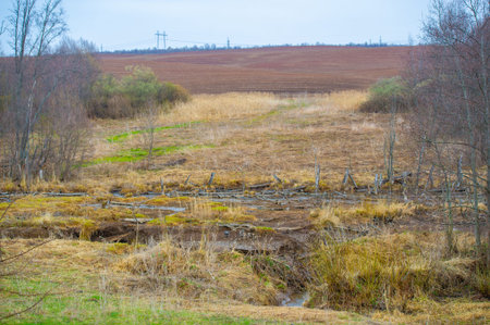 The hard work of preparing the soil pays off in this carefully tilled field, ready to grow future crops. Fertile Land Sowing Seedsの写真素材