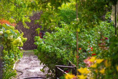 Nature's beauty in full bloom Refreshing showers bring life to the world Full of vibrant colors and new growthの写真素材