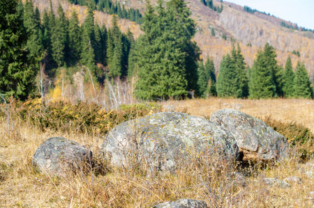 Experience the breathtaking beauty of autumn in the mountain range. Immerse yourself in vibrant colors and stunning scenery. Be captivated by the contrasting palette of nature's orchestra.の写真素材