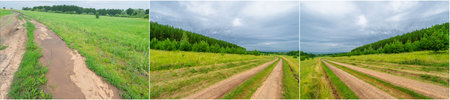 the beauty of European summer landscapes Explore fields.meadows.and ravines in the pictures...