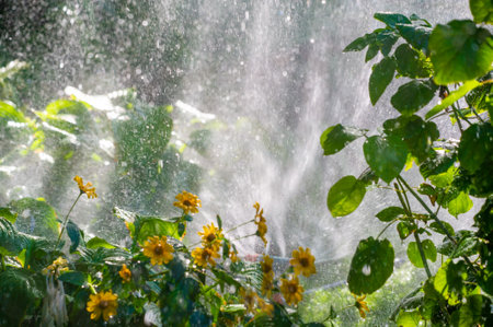 Get away from the city and connect with nature Experience the wonders of the summer season Feel rejuvenated by the soothing sound of raindrops on green leavesの写真素材