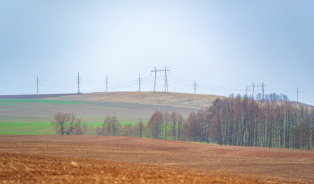 Experience nature's rejuvenation during Earth's harvest season. Witness the cycle of life as a sunlit field prepares to bear its gifts. Take part in the process of nurturing and collectingの写真素材