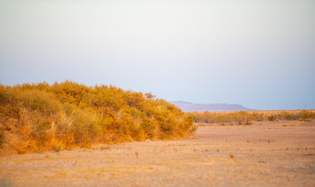 Enjoy the breathtaking beauty of autumn sunsets in the steppe. Witness a mesmerizing transformation as the landscape turns into a canvas of radiance. Enjoy the unearthly glowの写真素材