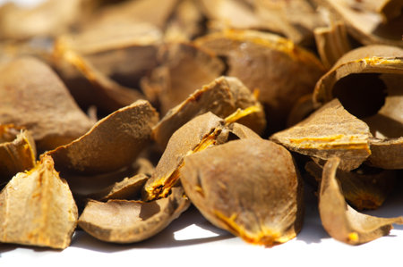 Apricot kernel. Raw materials for production. Natural, vegetable, scrub. Apricot oil, which is part...