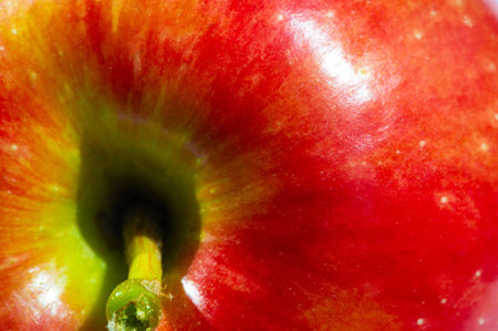 Apple on a white background. Apple tree - an example of true beauty