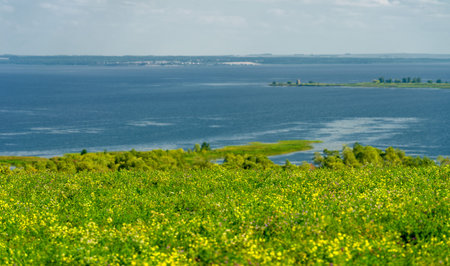 Summer landscape. Sunny warm day. Green trees, grass. Blue sky with a small cloud cover.の写真素材