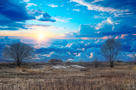 Yellow fields with sparse grass signal the beginning of spring. The trees are bare, without leaves. Getting ready for new growth. The last remnants of snow clinging to the ground before melting.の写真素材