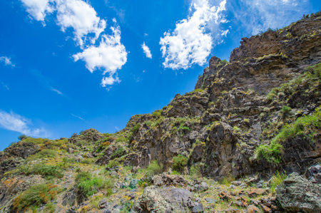 Explore scenic mountain dirt roads on your adventure. Challenge yourself on rough terrain and intense climbs. Experience the thrill of off-road cycling in a natural setting.の写真素材