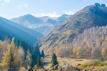 Immerse yourself in the vibrant colors of fall foliage. Feel the beauty of nature and the changing seasons. Immerse yourself in the embrace of this picturesque mountain forest.の写真素材