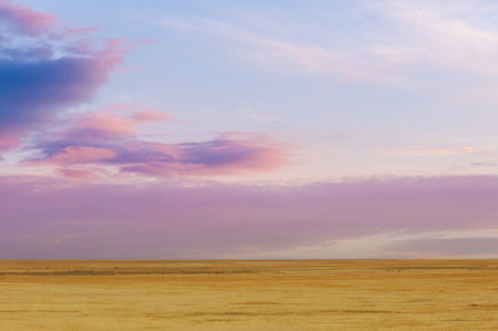 Steppe, prairie, plain, pampa. Witness the majestic dance of light and shadow as a picturesque sunset descends across a tranquil field, capturing the beauty that nature paints in the sky.の写真素材