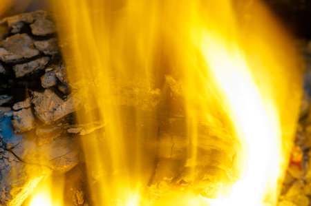 Fire in the fireplace.