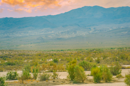 Beautiful landscapes of prairies and saxaul thickets. Nature lovers can explore the unique ecosystem. A variety of flora and fauna thrive in these places.の写真素材