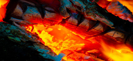 Fire in the fireplace. There is something very romantic about a real fire, but why? We guess why we...