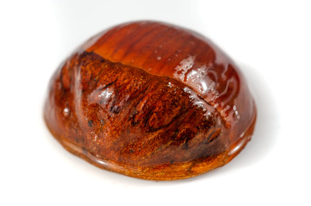 Witness the understated charm of the chestnut as the focal point, its smooth surface and natural...