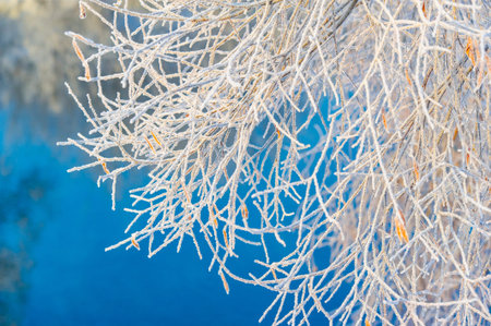 Enjoy the breathtaking beauty of the frozen river at sunrise. Witness nature's stunning winter...
