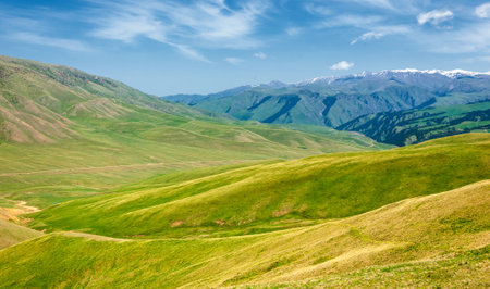 Summer in the mountains. Mountains are both a journey and a goal. They urge us to climb their slopes, explore their canyons and try to climb their peaks.の写真素材