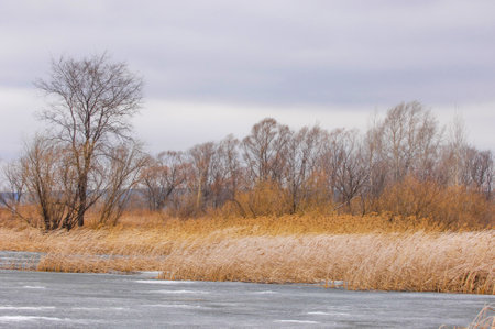See how nature comes to life after winter. Enjoy the beauty of flowering trees and green grass. Feel the excitement of new beginnings.の写真素材