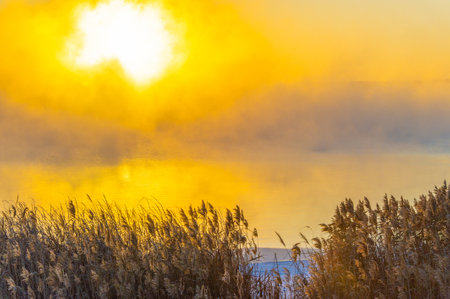 Experience the beauty of a winter wonderland. Witness the mesmerizing dance of sunlight on a frozen river. Be enchanted by the mystical fog and its ethereal atmosphere.の写真素材