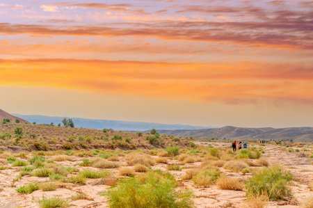 Witness the breathtaking beauty of the mountains at sunset. Experience nature's masterpiece as the sun paints the mountain sky in vibrant hues. Capture unforgettable momentsの写真素材