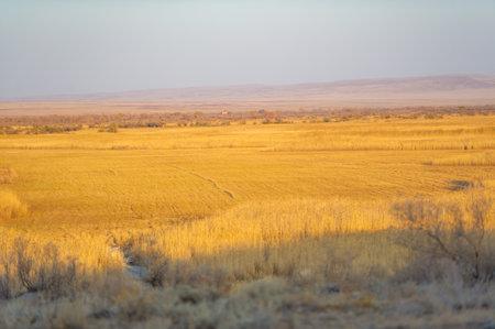 Witness the breathtaking beauty of an autumn steppe sunset. Experience the serenity and awe-inspiring colors of the steppe at dusk. Capture the magical essence of the landscape,の写真素材