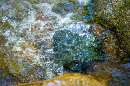 Experience the tranquil beauty of a mountain stream. Discover peace and peace in the embrace of...