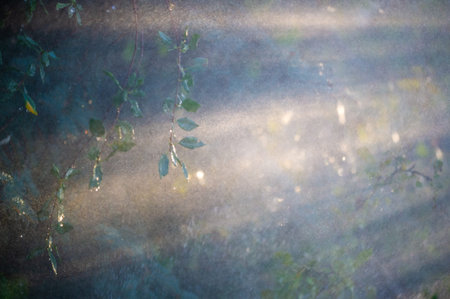 Immerse yourself in the beauty of nature during the summer season Experience the refreshing...