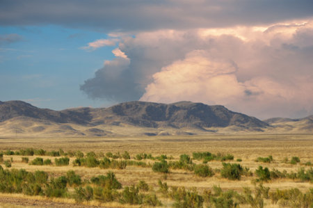 Steppe, prairie, Majestic mountains meet endless expanses, and the sun casts its warm golden rays. Nature Beauty Landscapesの写真素材