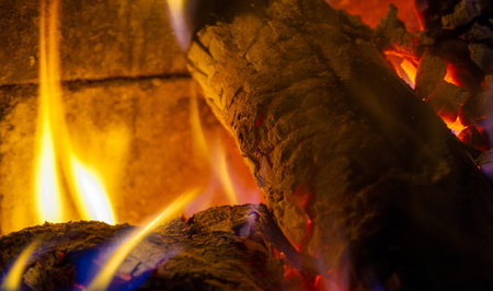 Fire in the fireplace. There is something very romantic about a real fire, but why? We guess why we...