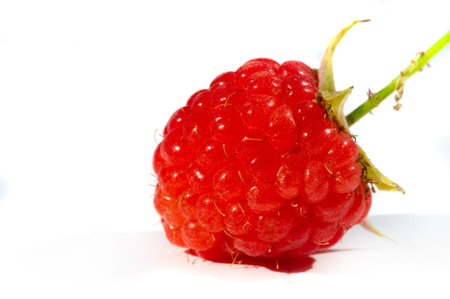 Raspberry is juicy and perfect for your most fruity mood. Give some joy to your table. Surprisingly sweet, these berries will lift your spirits with an explosive flavor.の写真素材
