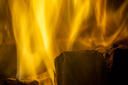 Fire in the fireplace.