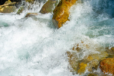 Symphony of Nature: This mountain stream, cascading over smooth and timeless rocks, creates a mesmerizing melody as it dances through the lush green landscape. Serenade of Natureの写真素材