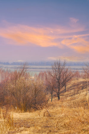 Yellow fields with withered grass create a sharp contrast with the last snow of winter. The trees stand bare and leafless. Waiting for the arrival of spring warmthの写真素材
