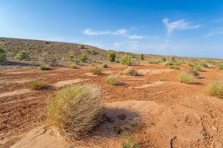 Witness a breathtaking desert sunset. Experience a kaleidoscope of colors at sunset. Immerse yourself in the beauty of nature's vibrant palette.の写真素材