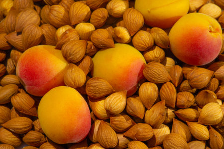 Apricot Kernelsの写真素材