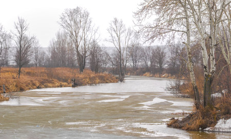 Winter landscape with a frozen river and bare trees in the foreground.