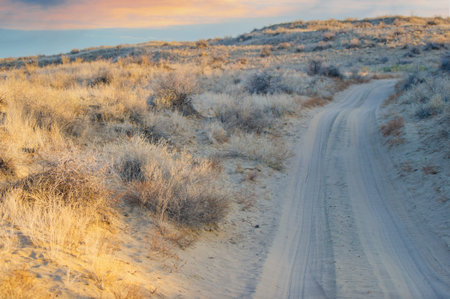 Autumn. Steppe. Sunset. Dunes. Feel the beauty of autumn in the steppe. Watch the sun set over the dunes. Immerse yourself in stunning scenery.の写真素材