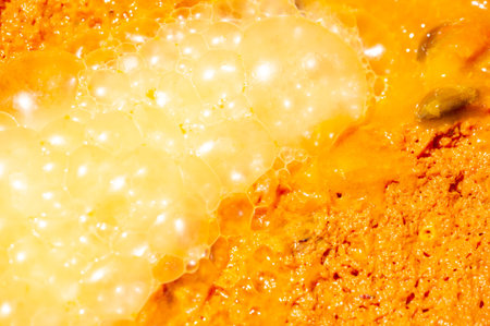 Prepare delicious apricot liqueur from fresh apricots. The preparation involves crushing apricots to...