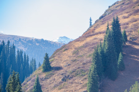 Enjoy the bright autumn colors of the Tien Shan. Immerse yourself in a paradise of natural beauty. Witness the symphony of nature's orchestra as the hues of autumn come to life.の写真素材