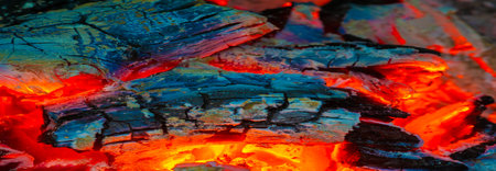 Fire. Fire is an important process affecting ecological systems around the world. Positive effects include stimulating growth and maintaining various ecological systemsの写真素材