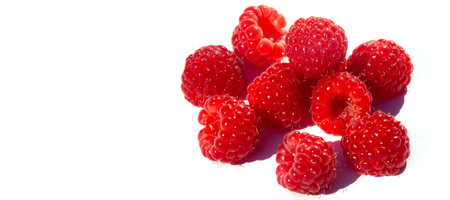 Raspberries. Wild red raspberries produce small, tart red berries. They are delicious fresh but also...