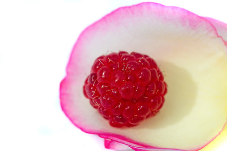 Raspberry. In late summer, native raspberries make their way from the fields to your refrigerator in...