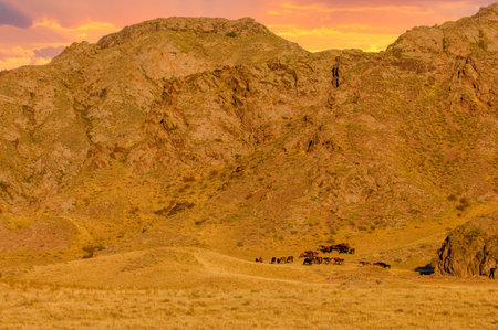 Enjoy breathtaking sunsets over the landscapes of Central Asia. Explore the unique rock formations...
