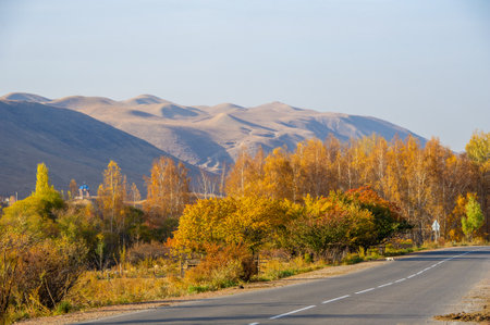 Experience the stunning beauty of the mountains in autumn. Be enchanted by the vibrant foliage and towering peaks. Immerse yourself in a picturesque landscape that will take your breath awayの写真素材