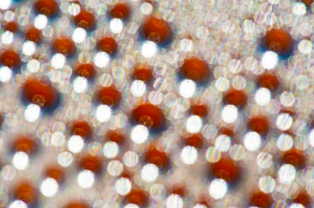 Blurred, Create a visually stunning water bubble effect. Add texture to your drawings with realistic...