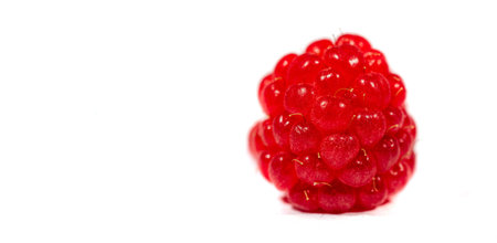 Raspberries. Wild red raspberries produce small, tart red berries. They are delicious fresh but also...